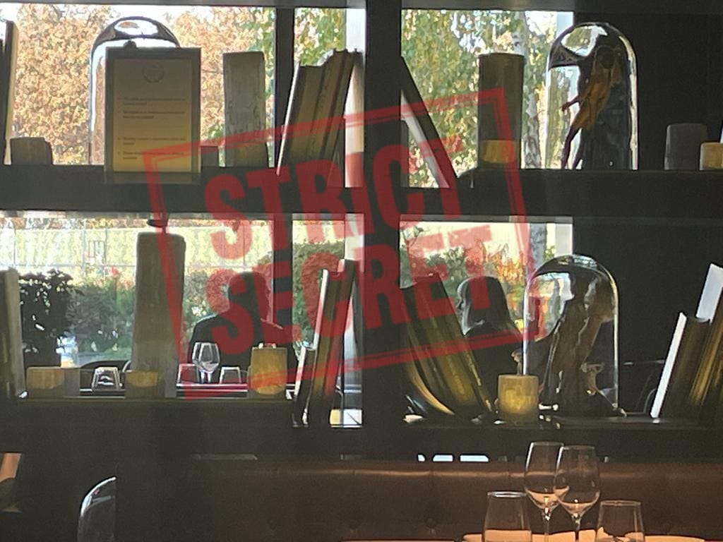 Elena Udrea si baronul Ionel "Sosetuta" Arsene, intalnire de taina azi la Stejarii. Ce au discutat