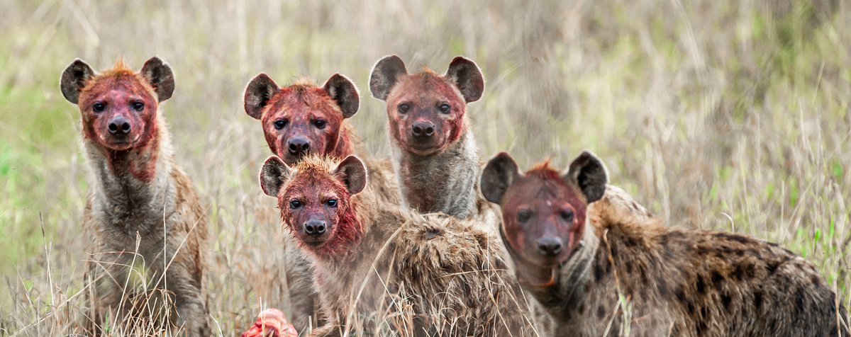 EXCLUSIV! TOP 50 cei mai bine plătiți sinecuriști ai României! Insectarul pilelor politice care se îmbogățesc pe spatele românilor