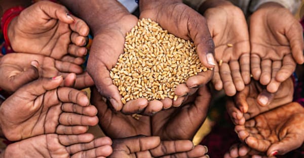 Jocuri și concursuri 3