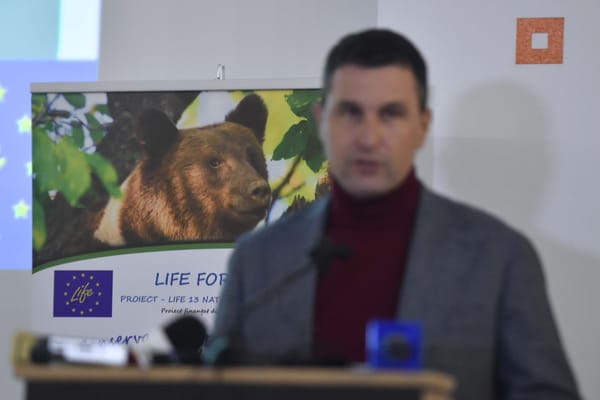 Ministrul Mediului, dezvăluiri după ancheta Strict Secret: „Toate țările din UE refuză să primească urși de la noi, ne dau doar sfaturi”